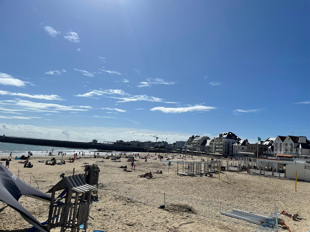 信天翁酒店主图