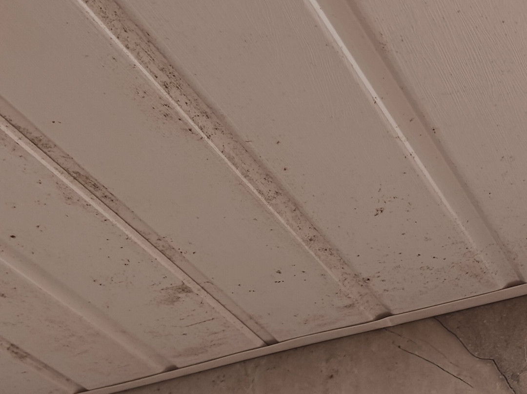 Urja Resort Casajuliana主图