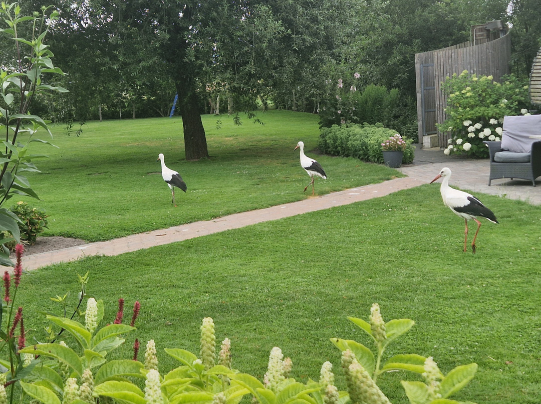 B&B Zonnedauw