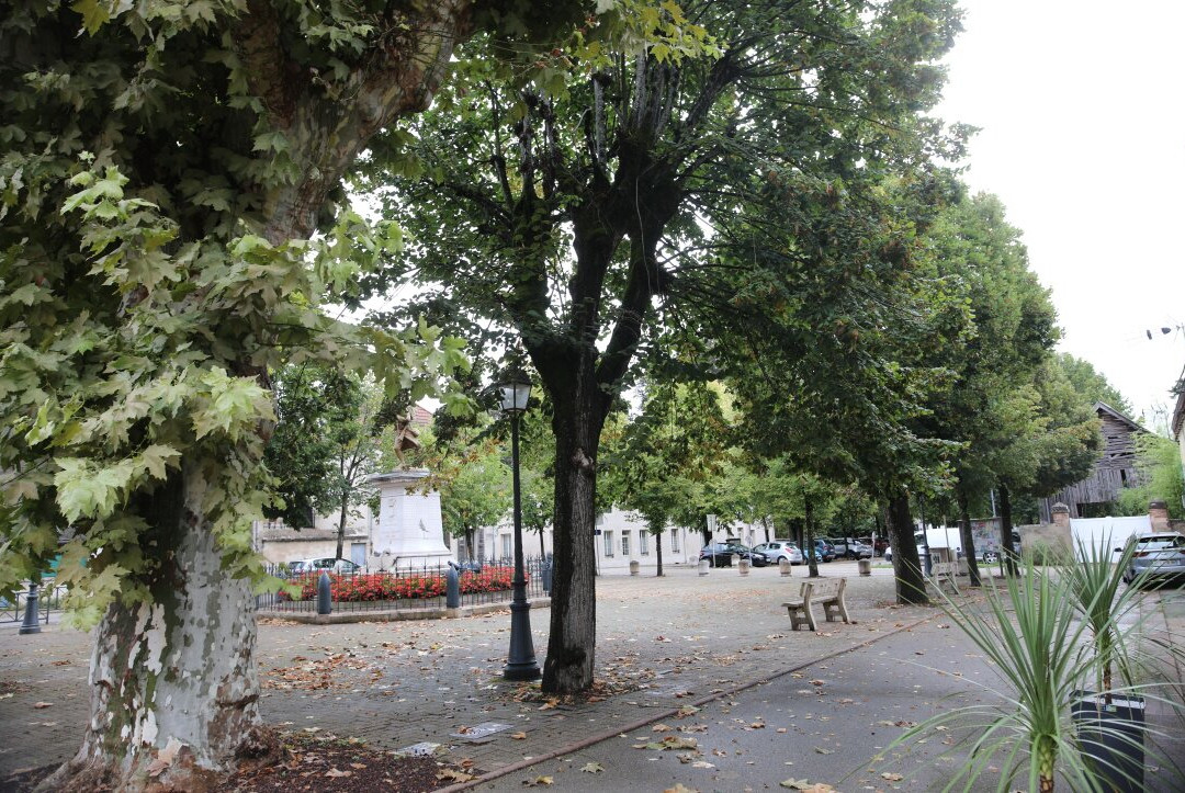 Monument Aux Morts - Seurre-Seurre必去景点