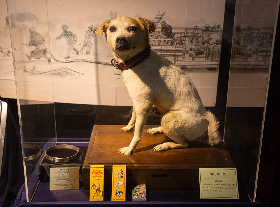 Otaru City General Museum Ungakan-小樽市必去景点