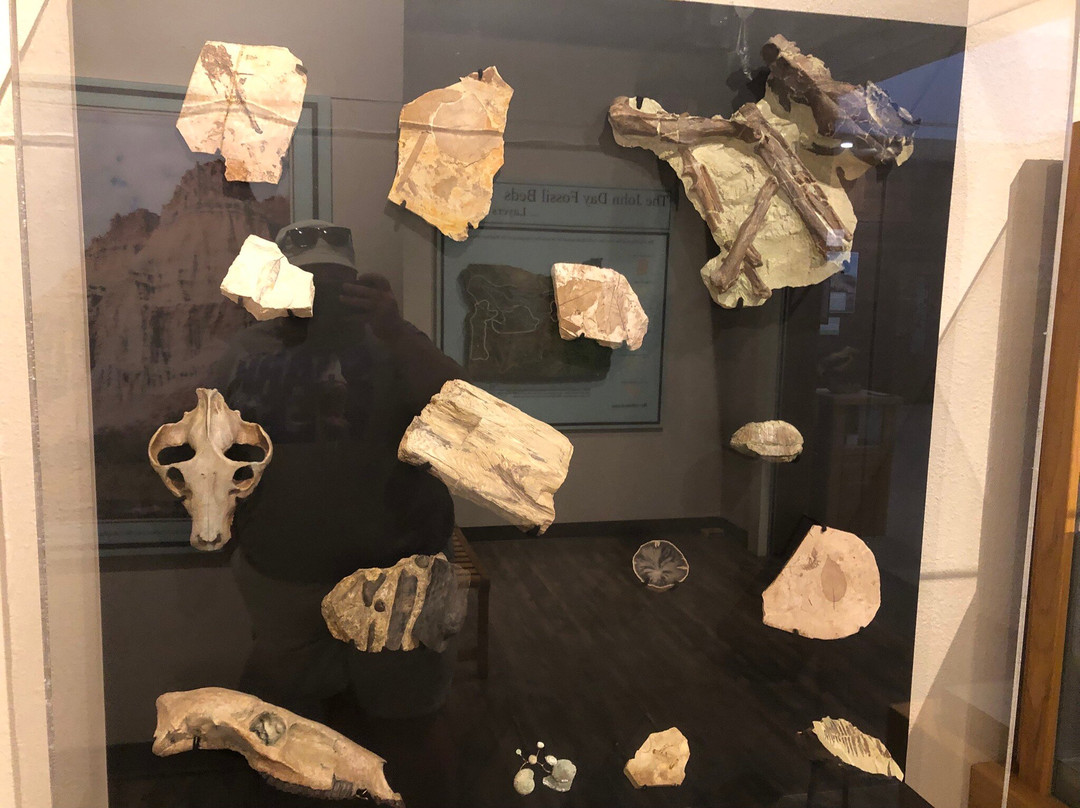 John Day Fossil Beds National Monument-John Day必去景点