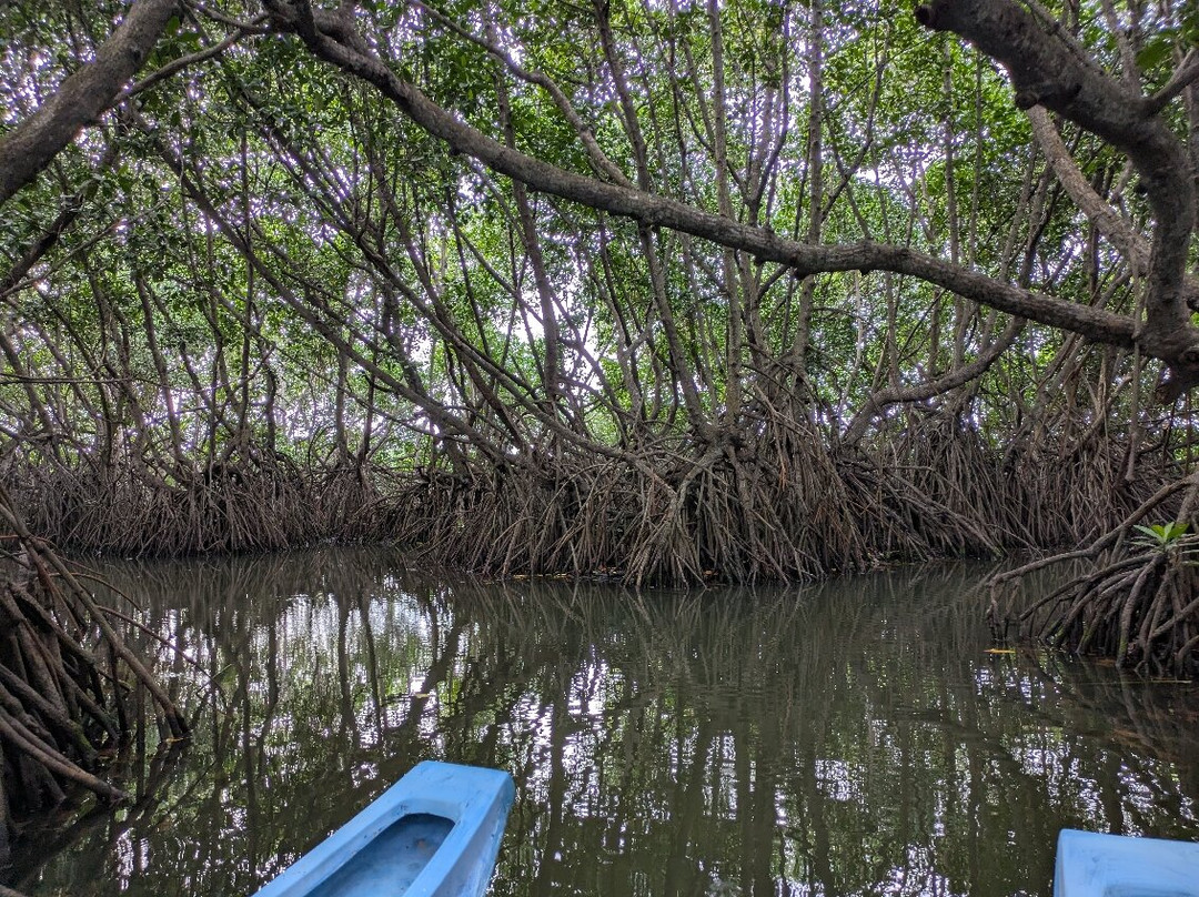 Arugam Bay Tours-阿鲁甘湾必去景点