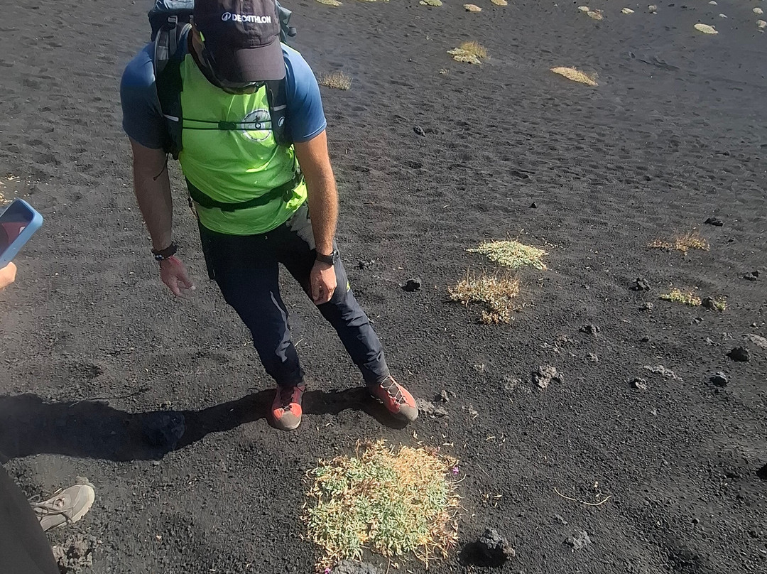 Alessio Zocco - Sicily Hiking & Nature Guide-卡塔尼亚必去景点