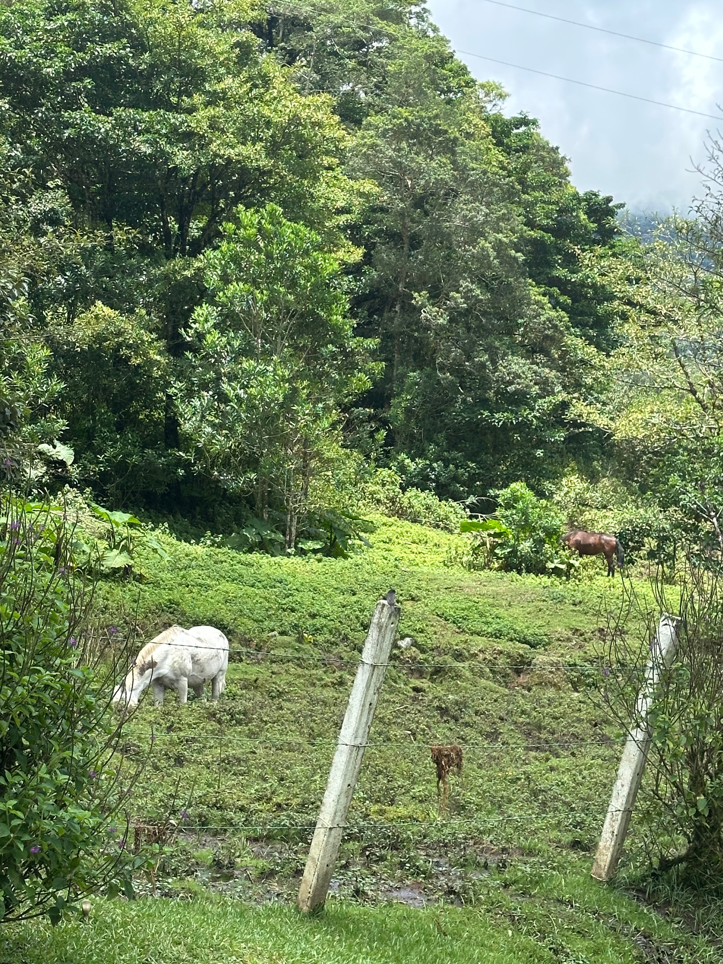 El Silencio Lodge & Spa-官方