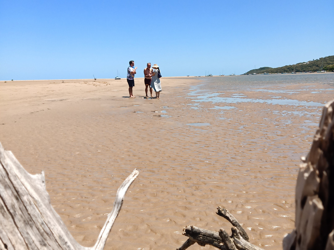 Salty Life 1770-1770镇必去景点