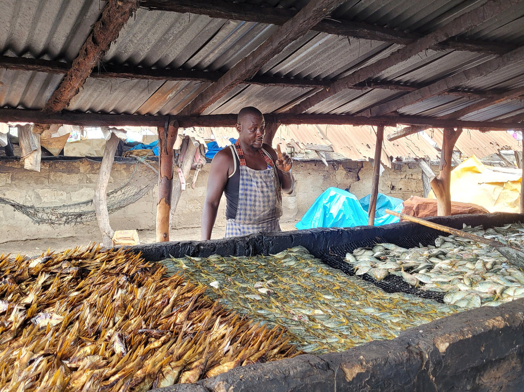 Tour Gambia-Brusubi必去景点