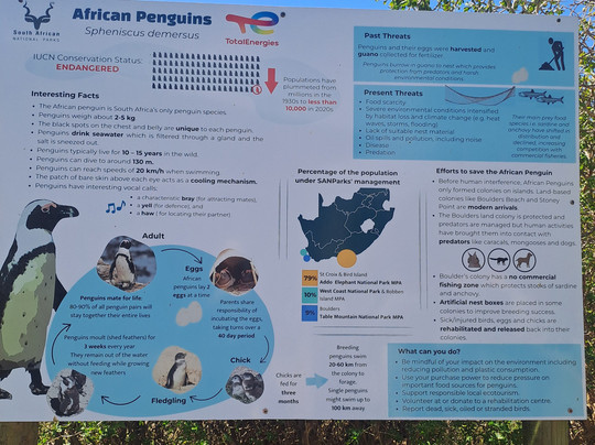 Cape & Company-斯泰伦博斯必去景点