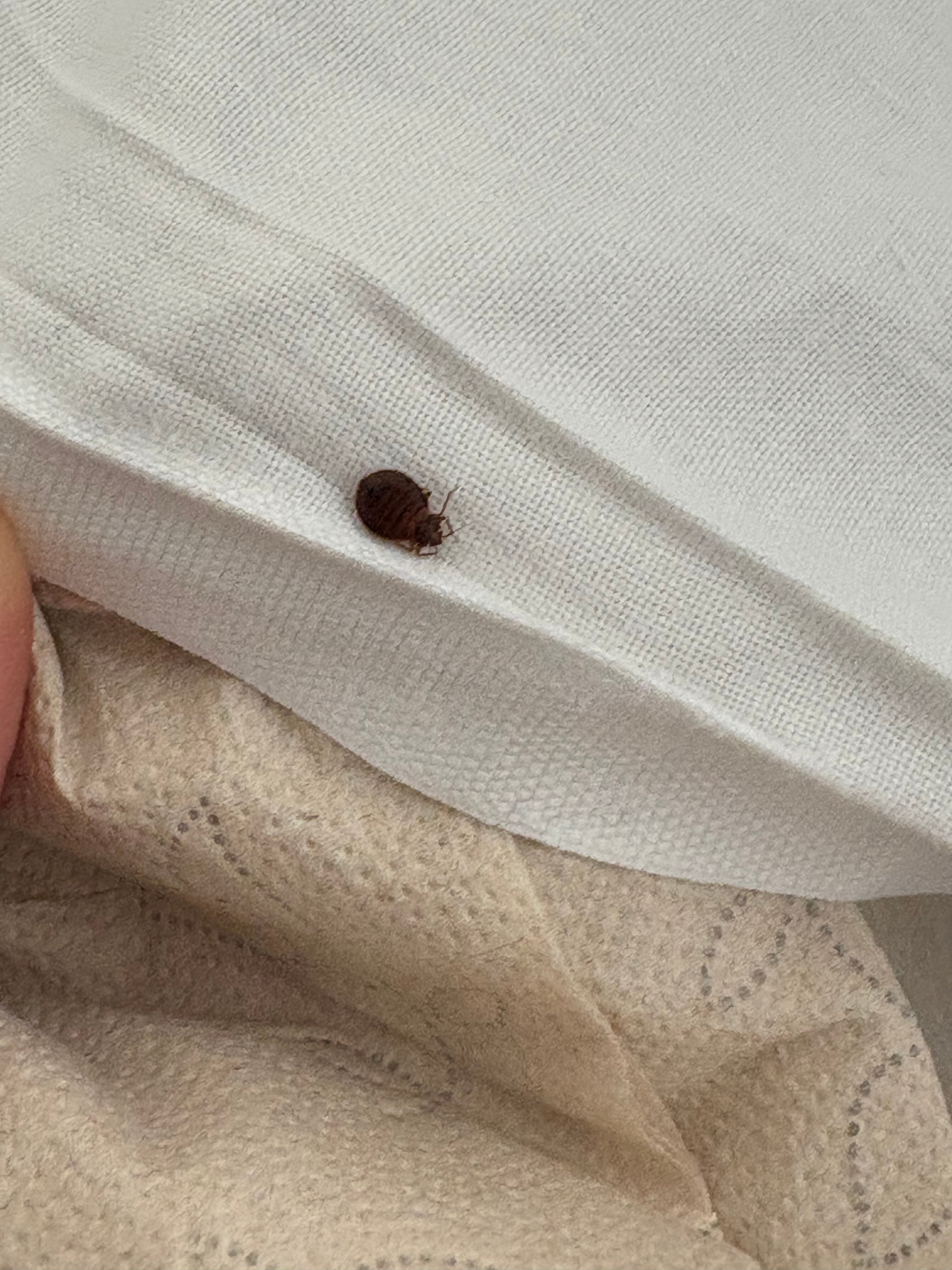 全景酒店寄宿式酒店-官方