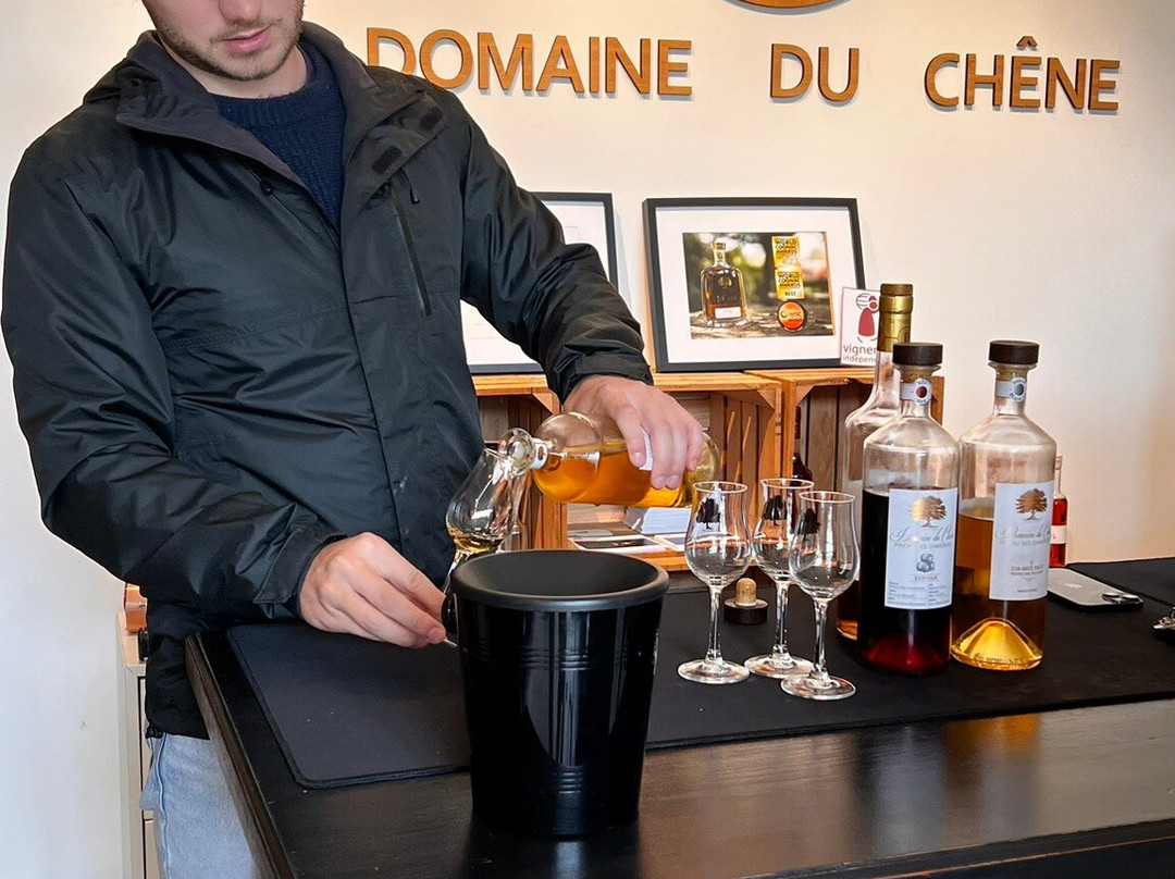 Le Domaine Du Chêne-Saint Palais de Phiolin必去景点