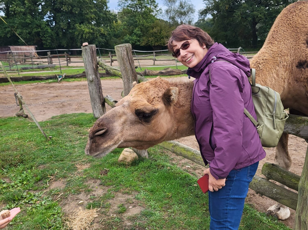 Elefantenhof Platschow-Platschow必去景点