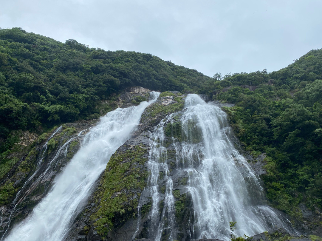 Yakushima Nature-屋久岛必去景点