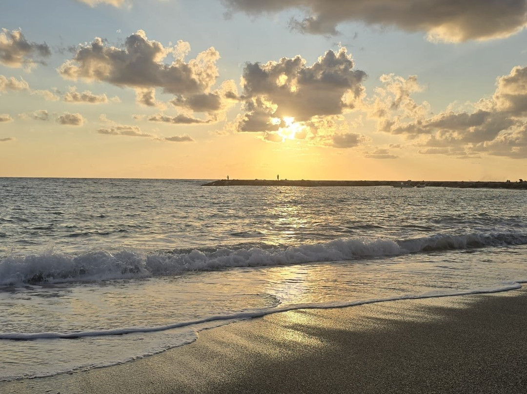 Al chiaro di  Luna主图