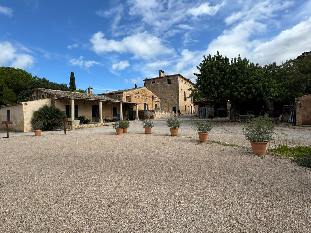 Bodega Ribas-Consell必去景点