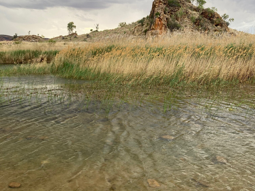 The Larapinta Trail-爱丽斯泉必去景点