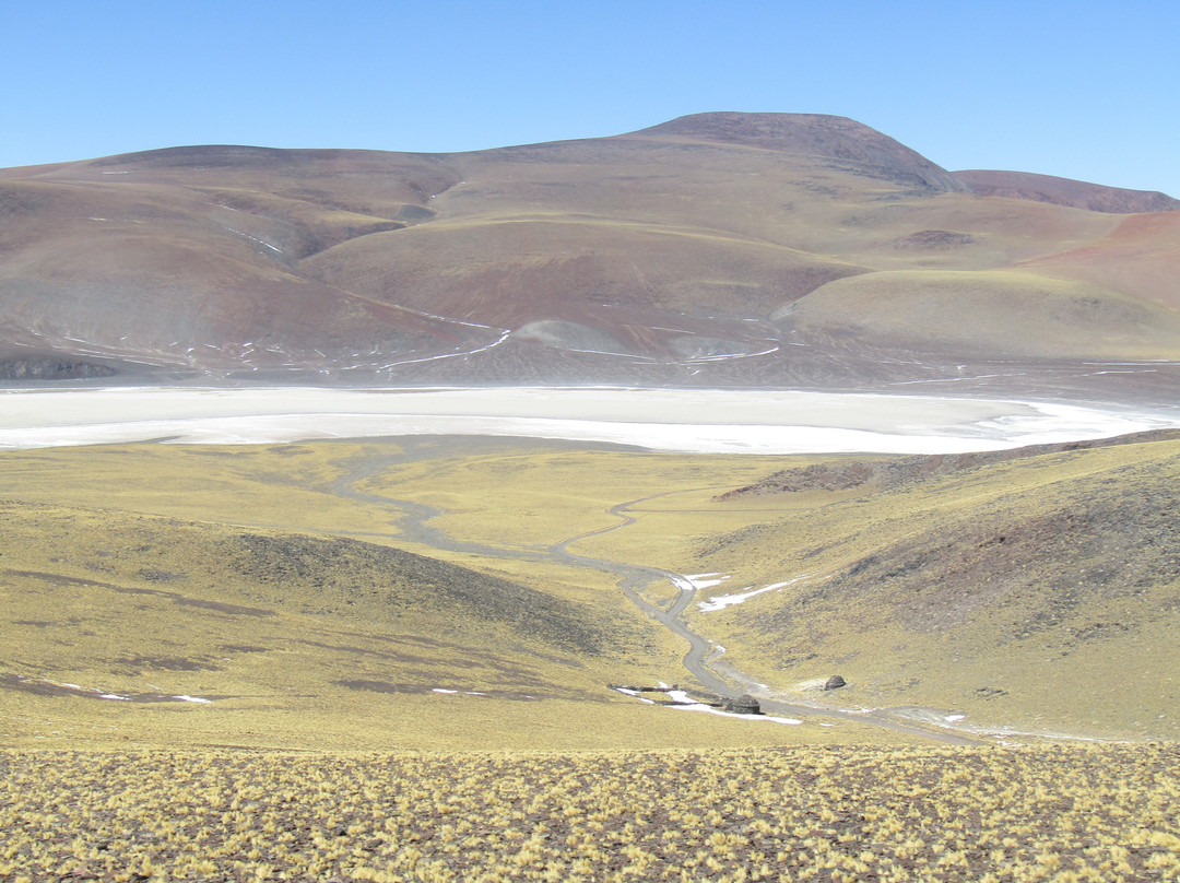 Laguna Brava Provincial Reserve-拉里奥哈必去景点