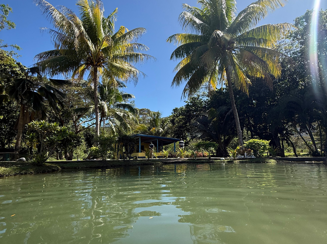 萨贝托泥浆温泉-纳迪市必去景点