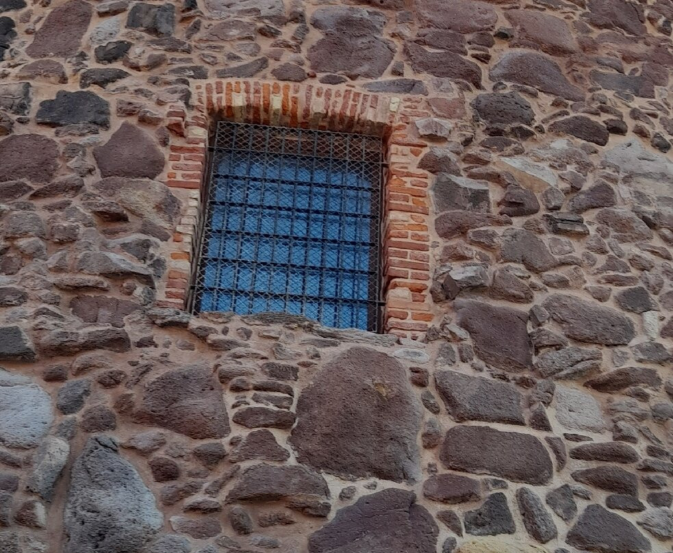 Capitan Shonny主图