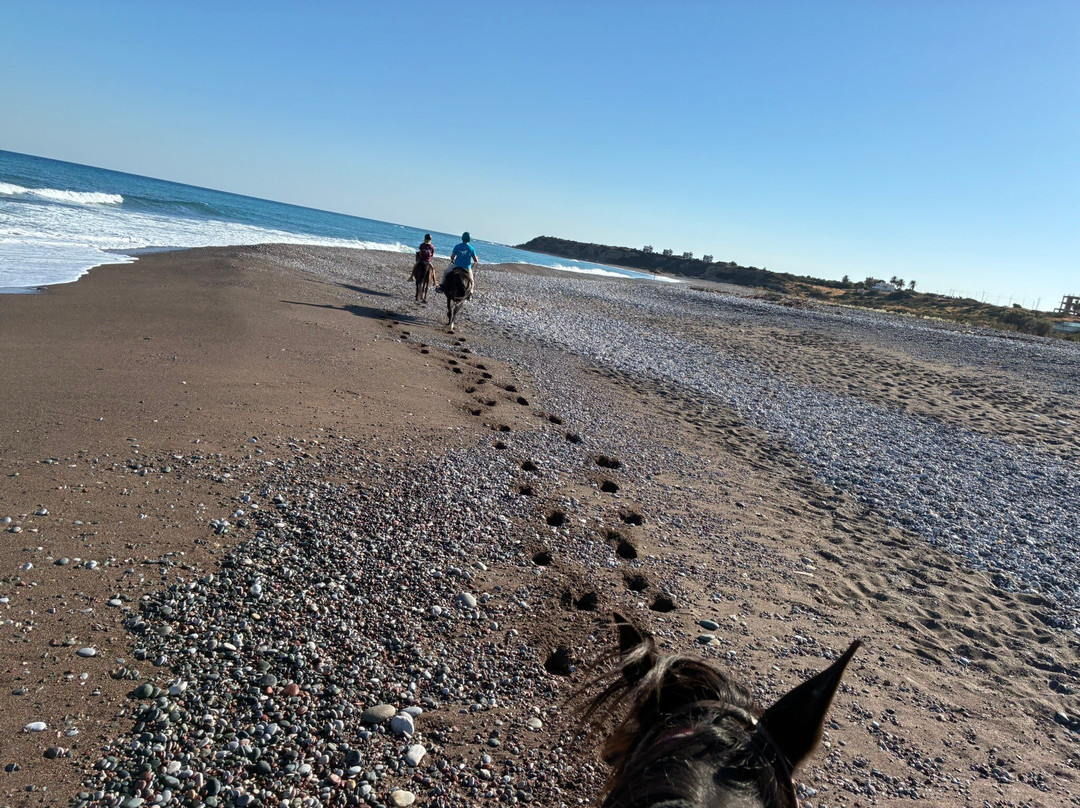 A&E Elpida Ranch-罗德城必去景点