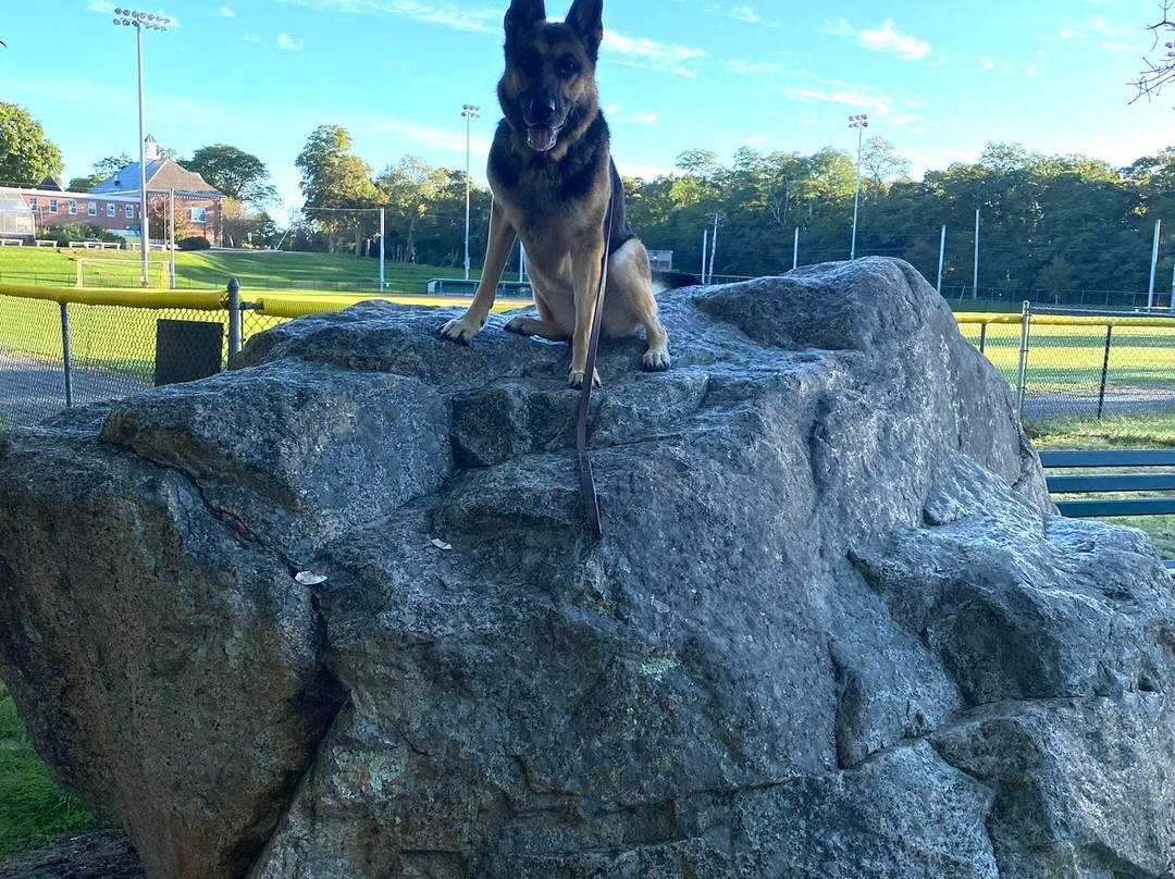 Skaket Beach Motel主图