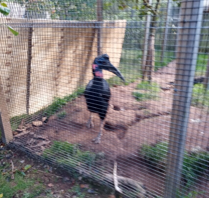 Bird Gardens Scotland Cic-Oxton必去景点