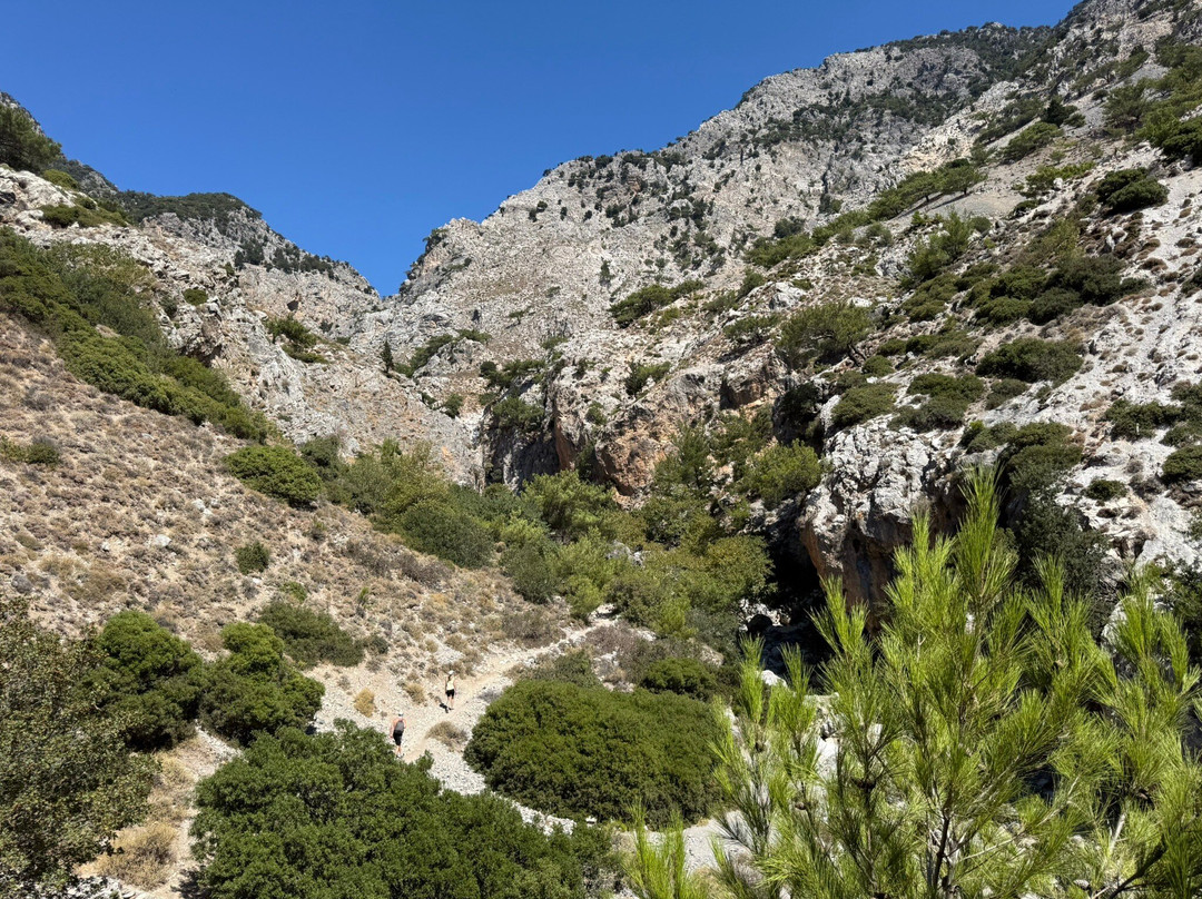 Rouvas Gorge (Agiou Nikolaou)-Zaros必去景点