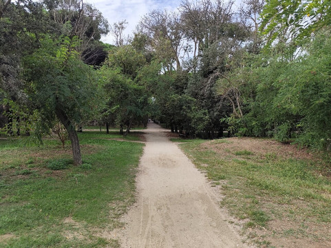 Hotel Bassetti主图