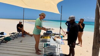 Dive Planet Mafia Island-Utende必去景点