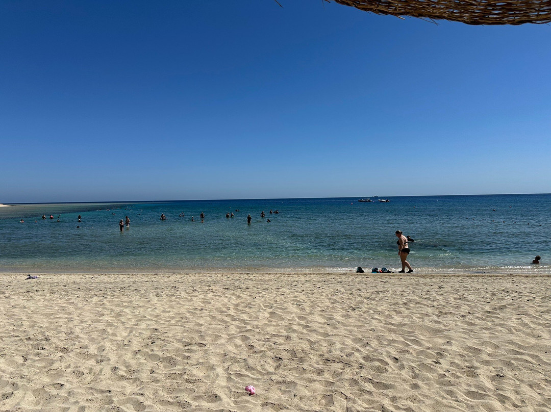 Abu Dabbab Beach-马萨阿拉姆必去景点