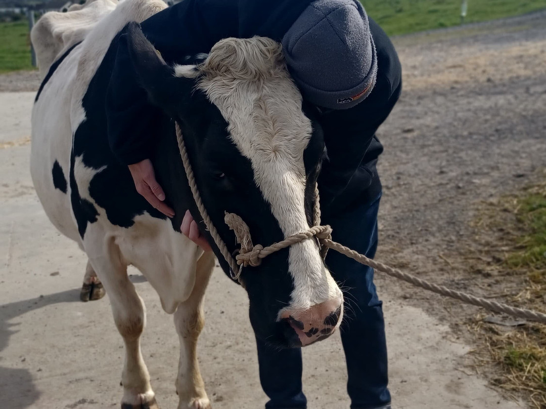 Campview Farm-Ballyshannon必去景点