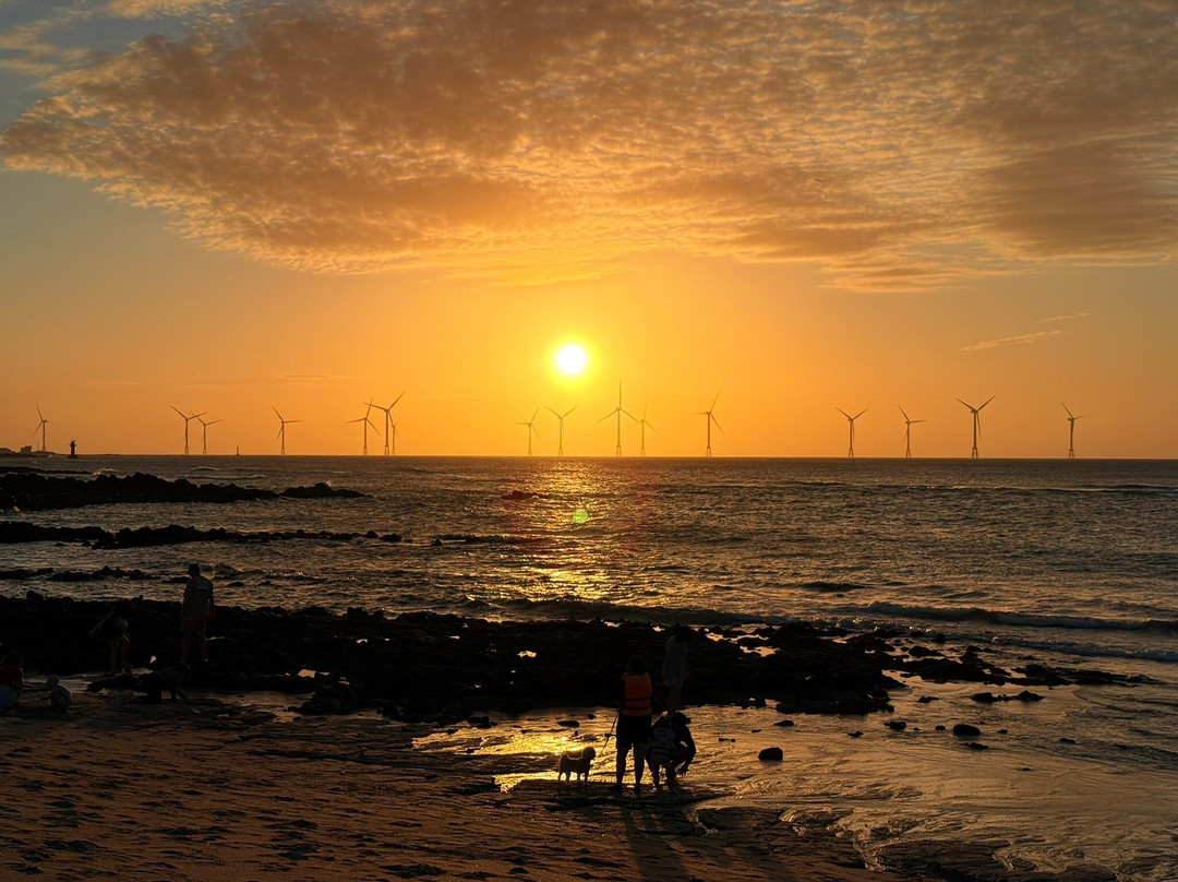 Gwakji Gwamul Beach-济州必去景点