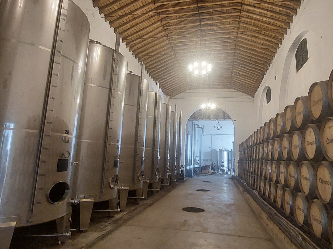 Bodegas Oliveros-韦尔瓦必去景点