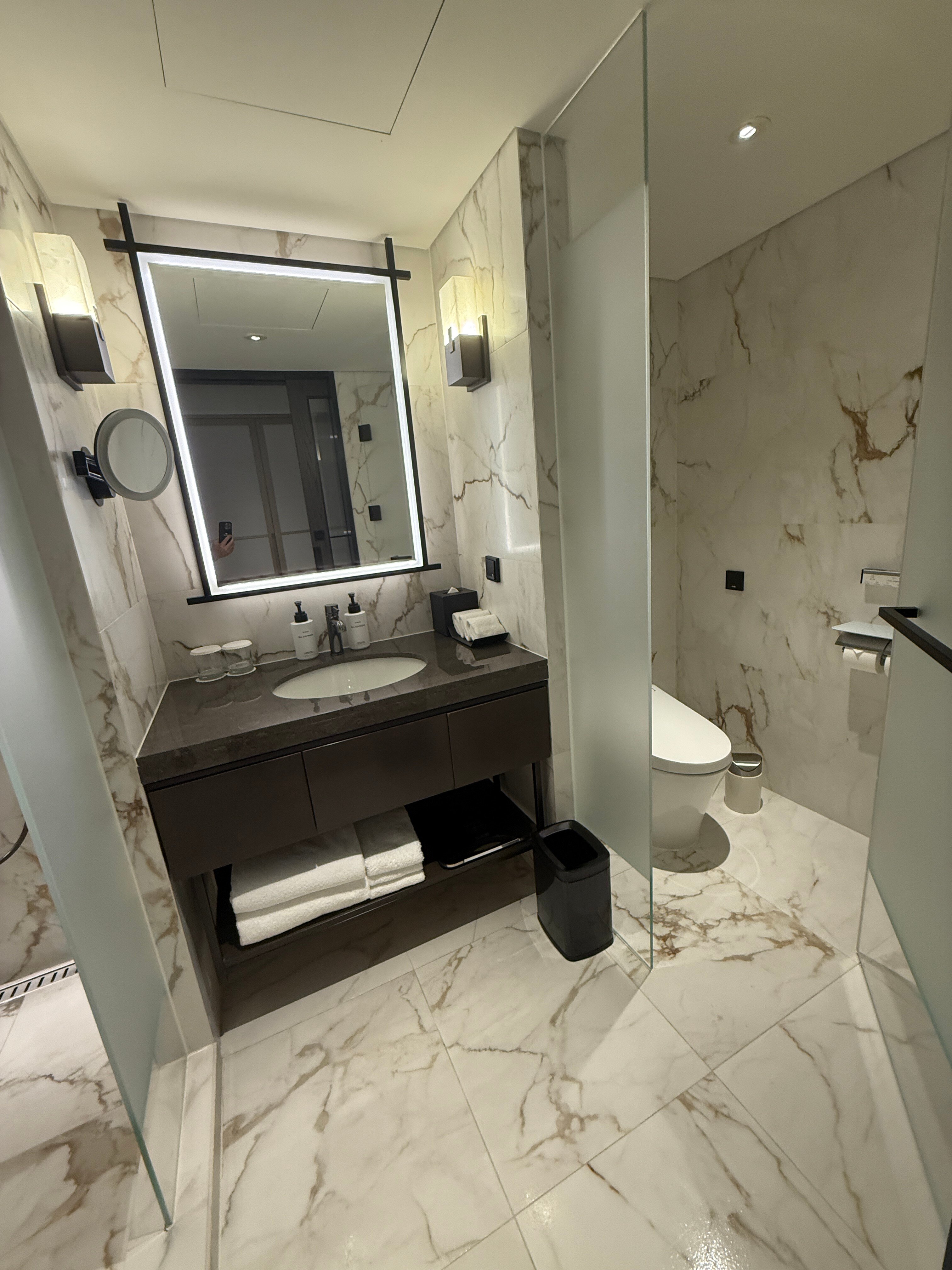 首尔帕那斯洲际大酒店-浴室