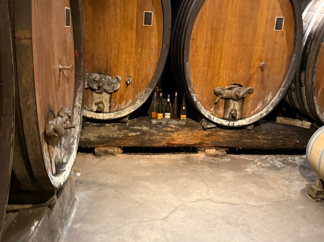 Domaine Albert Seltz-米特贝汉必去景点