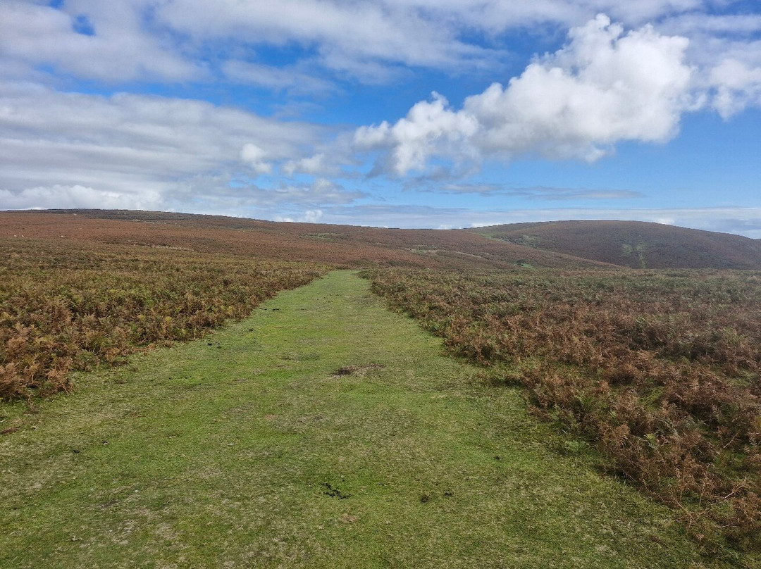 Carding Mill Valley-Church Stretton必去景点