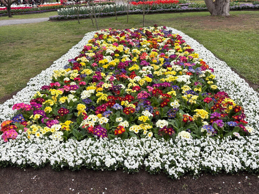 Tulip Top Gardens-Sutton必去景点