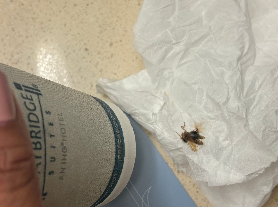 Staybridge Suites Cincinnati North by IHG主图