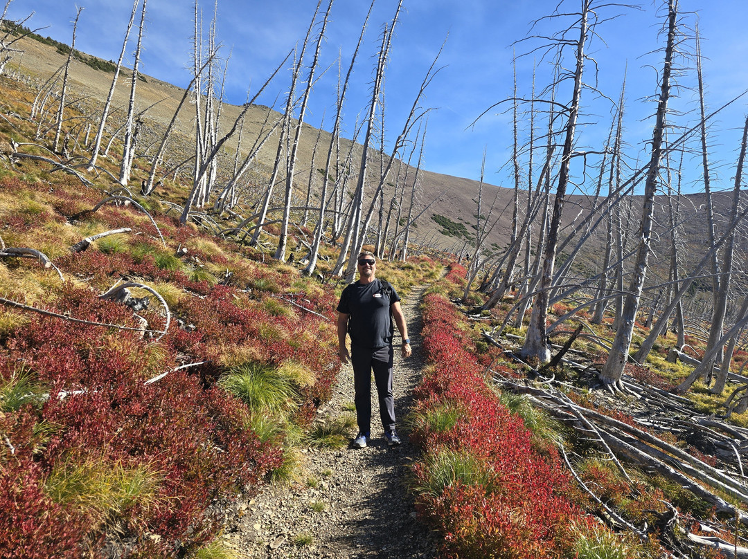 Tamarack Adventures-Waterton必去景点