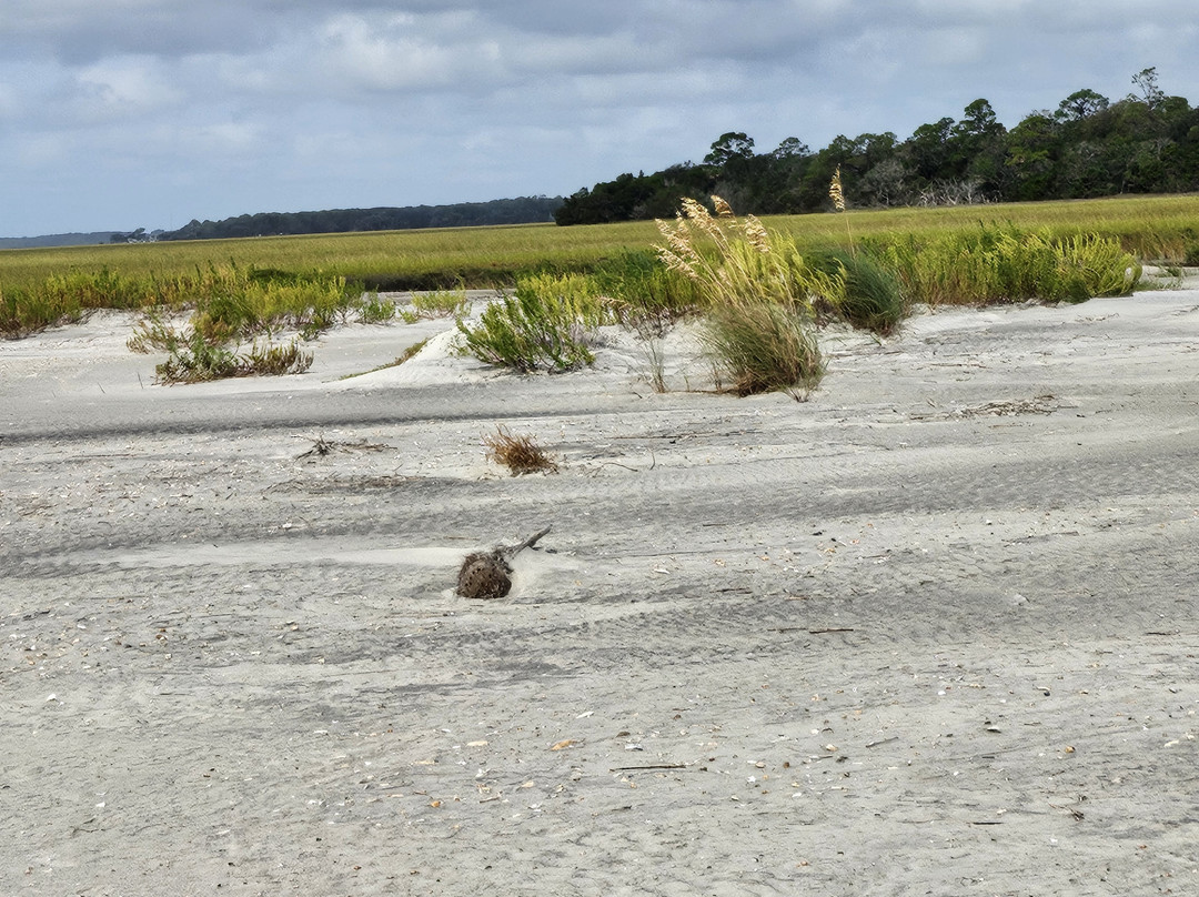 St. Phillips Island Ferry-Saint Helena Island必去景点