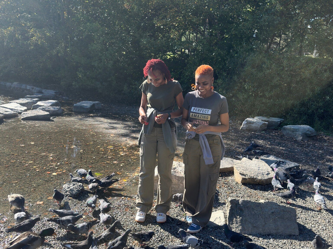 Bowring Park-圣约翰必去景点