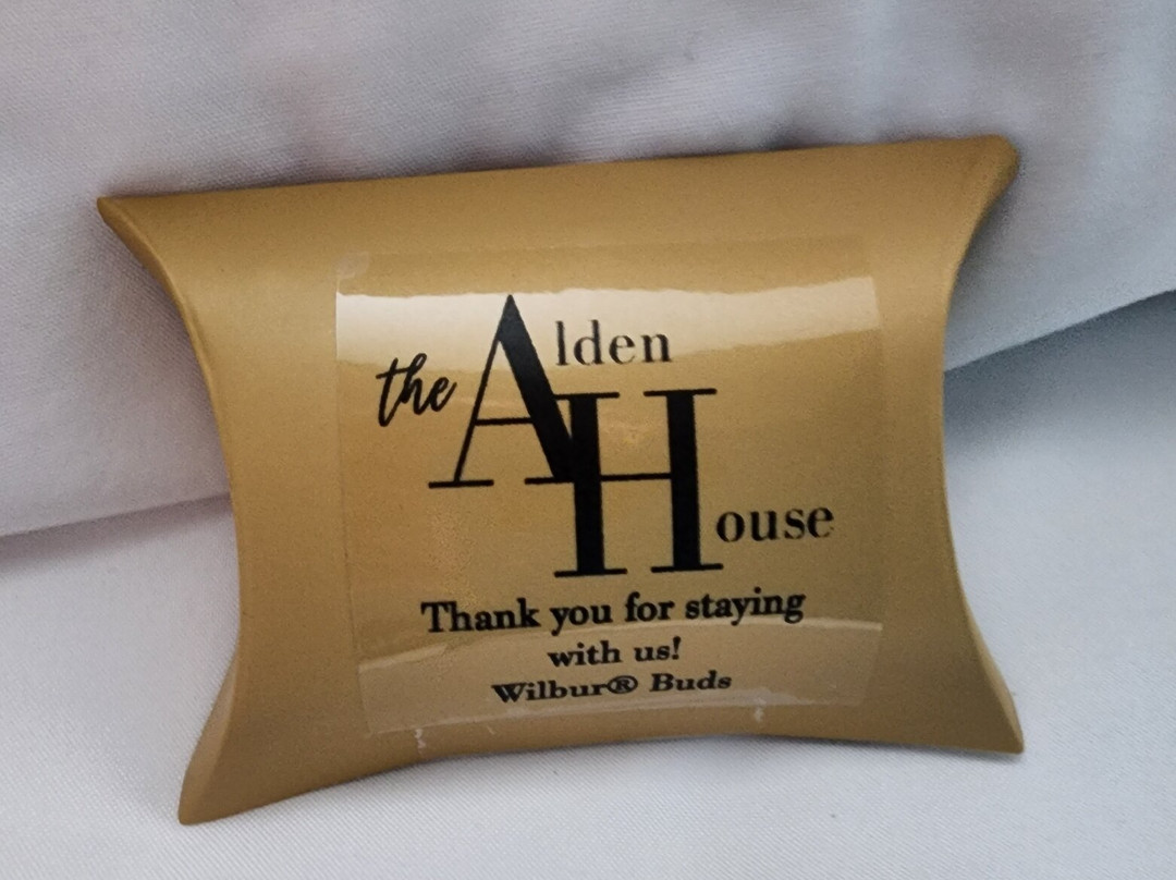 The Alden House主图