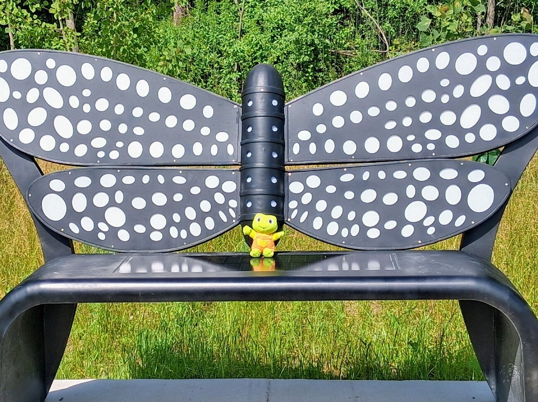 Firefly Grove Park-沃瓦托萨必去景点