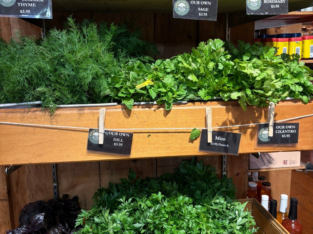 Morning Glory Farm-Edgartown必去景点