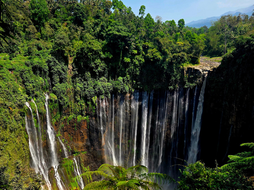 Java Brave Tour-玛琅必去景点