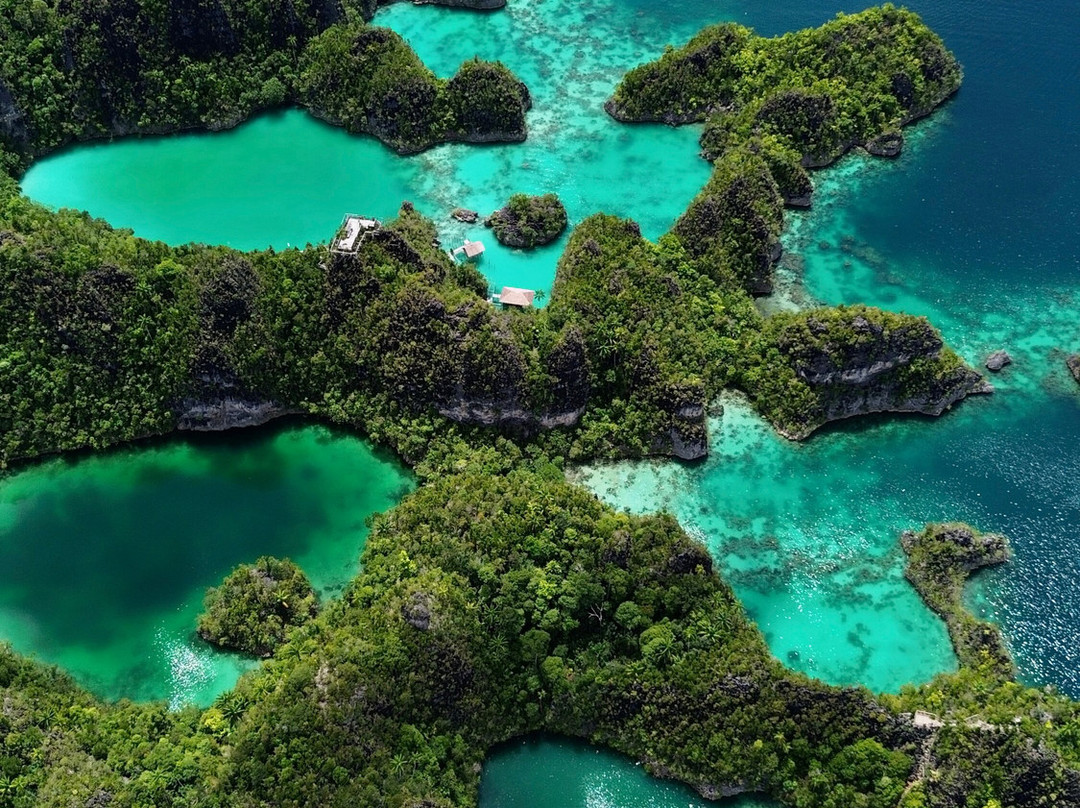 Raja Ampat Dive Trips-Arborek必去景点