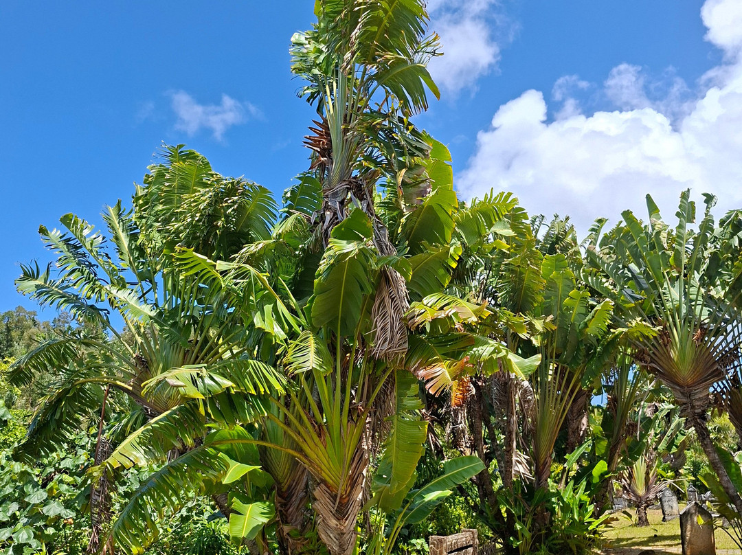 Pirate Cemetery on Nosy Boraha-Nosy Boraha必去景点