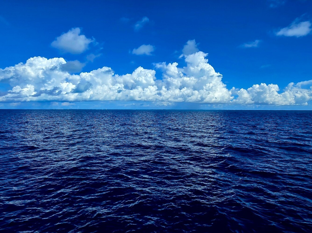 Stuart Cove's-拿骚必去景点