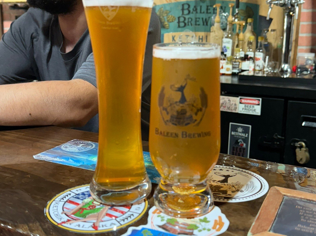 Baleen Brewing Co-凯奇坎必去景点