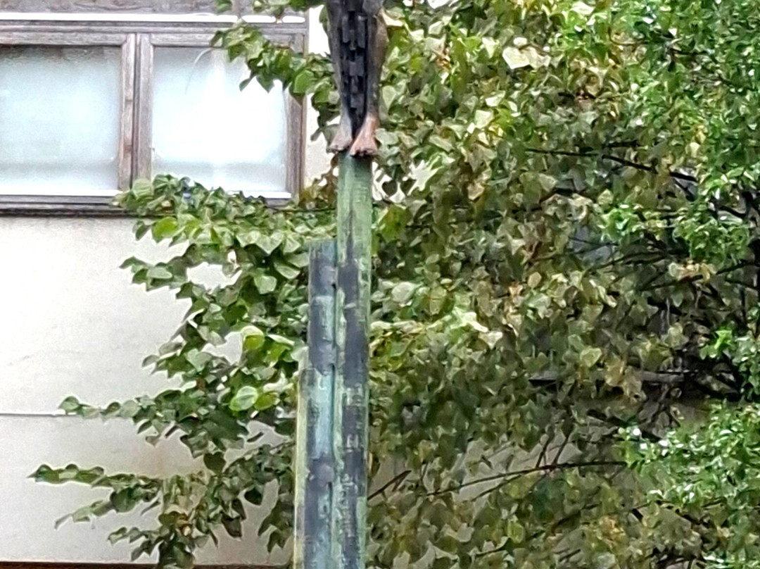 Dublin Decoded-都柏林必去景点