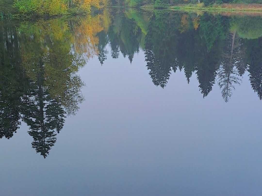 Etang de la Gruère-Saignelégier必去景点